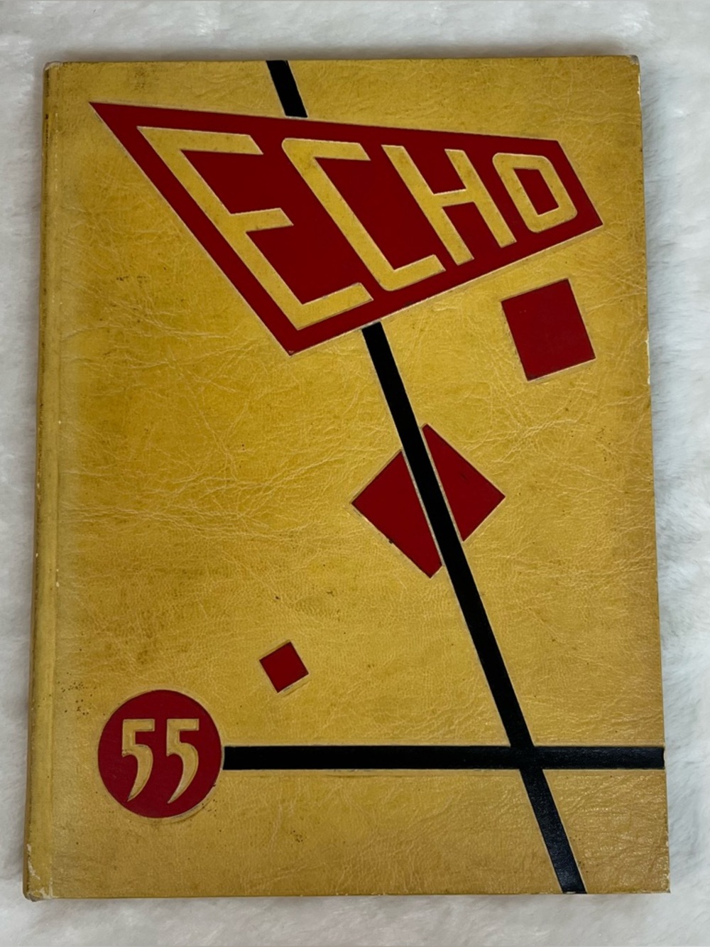 1955 ECHO Yearbook Flemington High School NJ